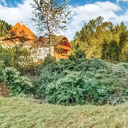 Luxurious In Heubach Germany In The Forest *
