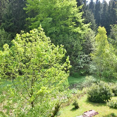 Luxurious In Heubach Germany In The Forest Apartment Fehrenbach