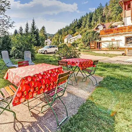 Luxurious In Heubach Germany In The Forest Apartment