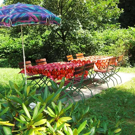 Apartment Luxurious In Heubach Germany In The Forest *