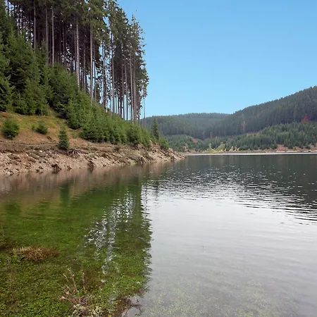 Luxurious In Heubach Germany In The Forest Apartment