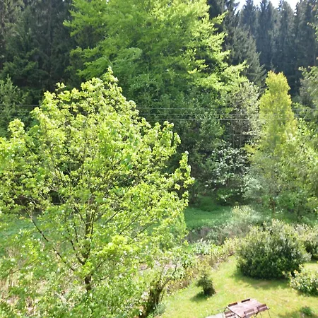 דירה Luxurious In Heubach Germany In The Forest *