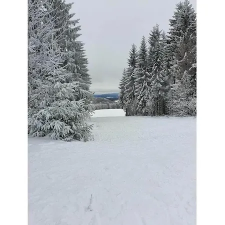 Luxurious In Heubach Germany In The Forest *