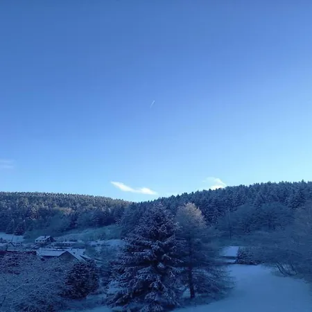 Luxurious In Heubach Germany In The Forest *