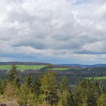 Luxurious In Heubach Germany In The Forest