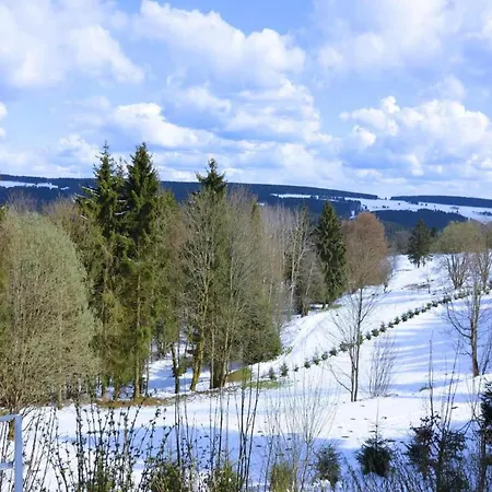 Apartment Luxurious In Heubach Germany In The Forest *