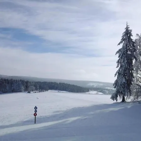דירה Luxurious In Heubach Germany In The Forest