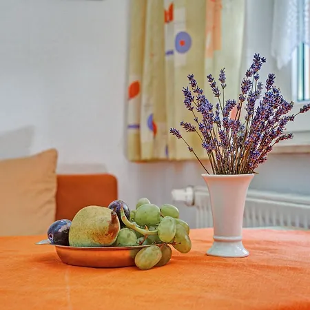 Apartment Luxurious In Heubach Germany In The Forest Fehrenbach