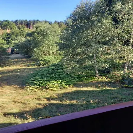 Luxurious In Heubach Germany In The Forest * Fehrenbach