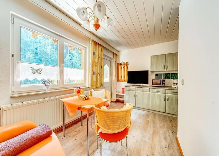 Luxurious In Heubach Germany In The Forest Daire