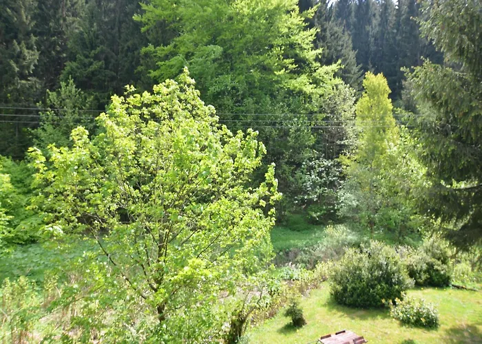 Luxurious In Heubach Germany In The Forest *