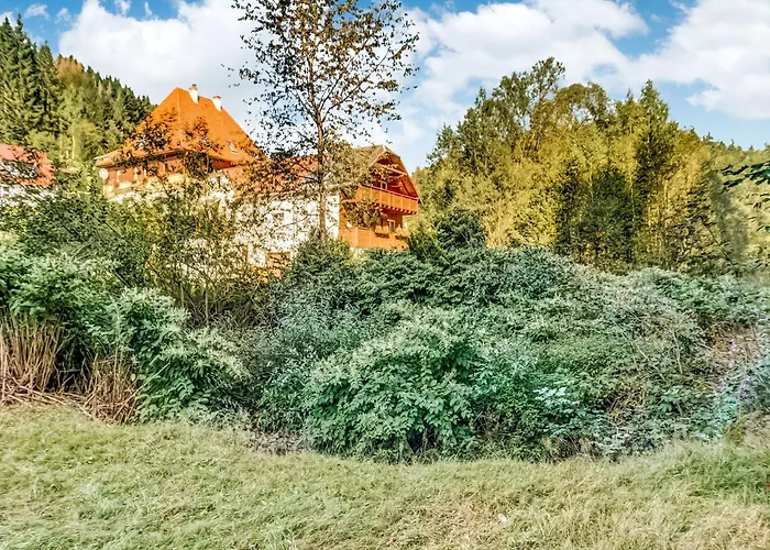 Luxurious In Heubach Germany In The Forest Apartment *